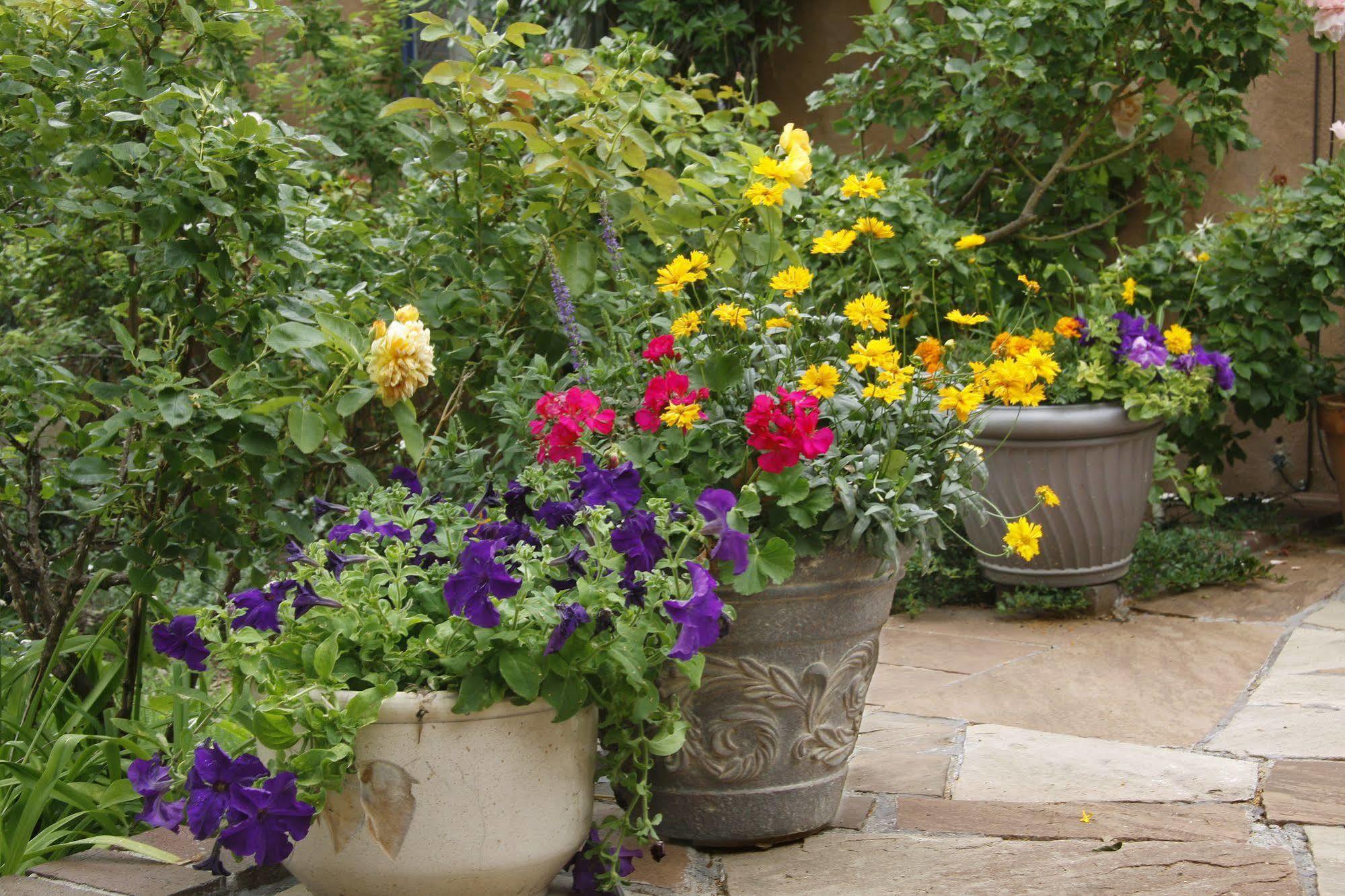 The Madeleine Bed & Breakfast Inn Santa Fe Exterior photo